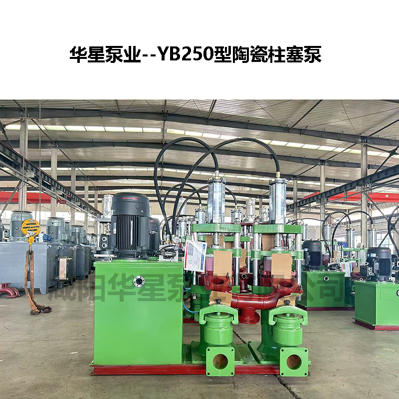 250柱塞泵工作原理